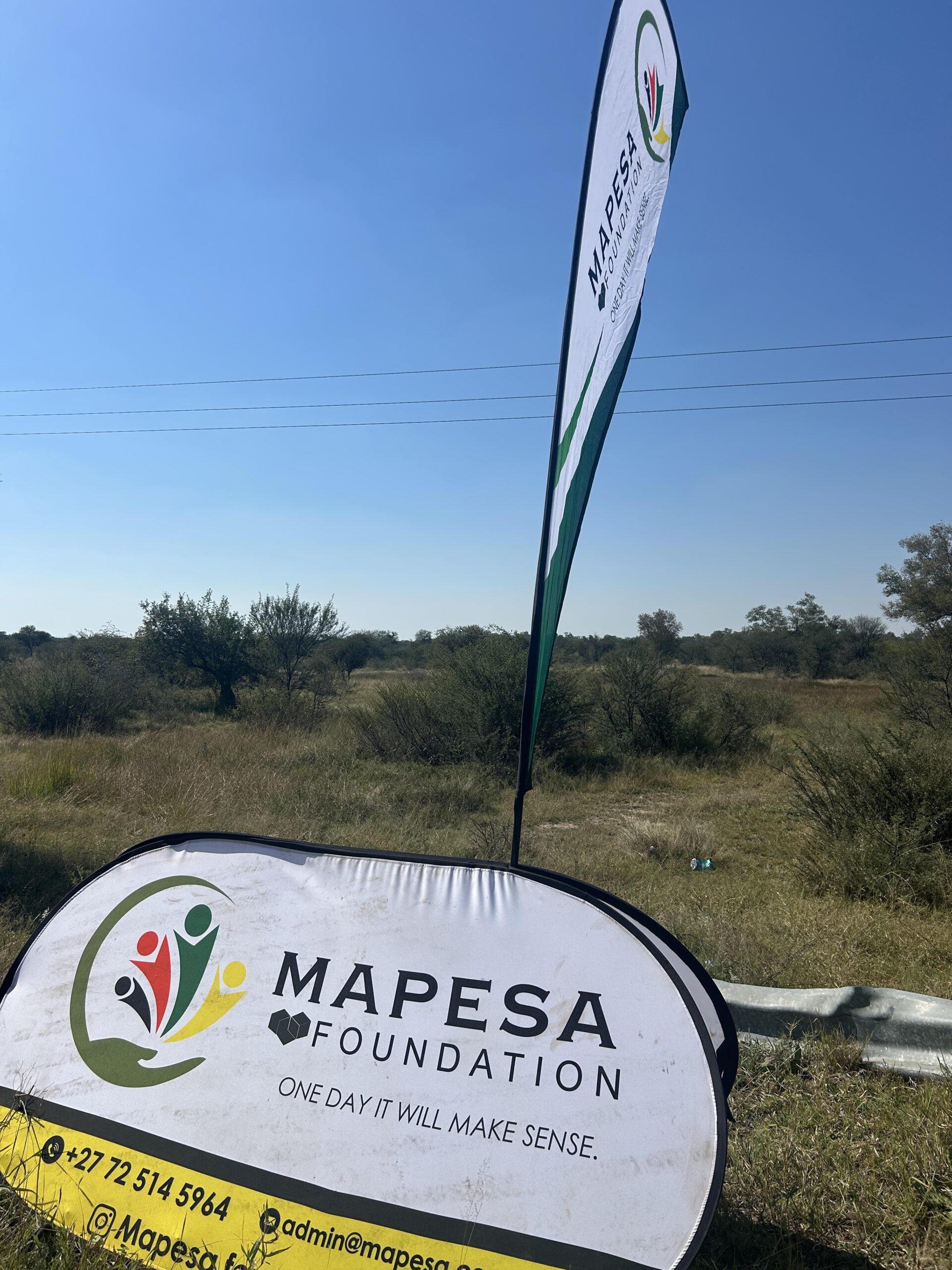 Mapesa Mapesa Foundation